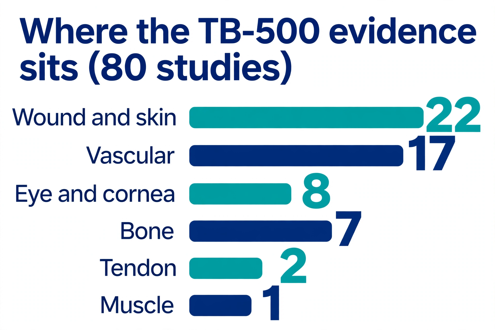 Infographic bar chart showing TB4 and TB-500 studies by tissue: wound and skin 22, vascular 17, eye and cornea 8, bone 7, tendon 2, muscle 1, of 80 studies